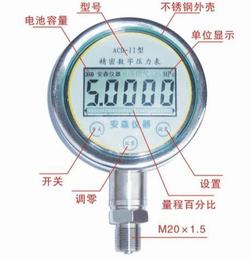 “天水數顯壓力表應用場景“/