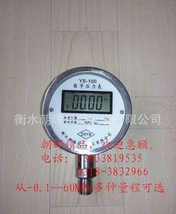 “株洲數(shù)顯精密標(biāo)準(zhǔn)壓力表“/